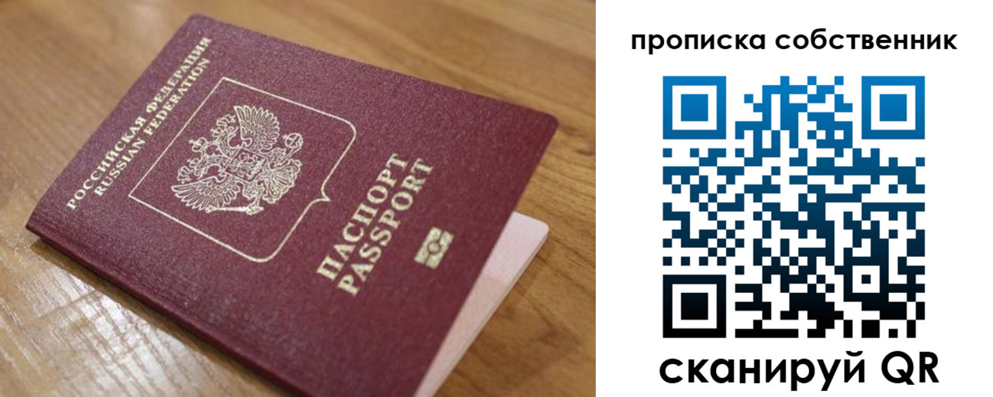 прописка поиск в Черноголовке